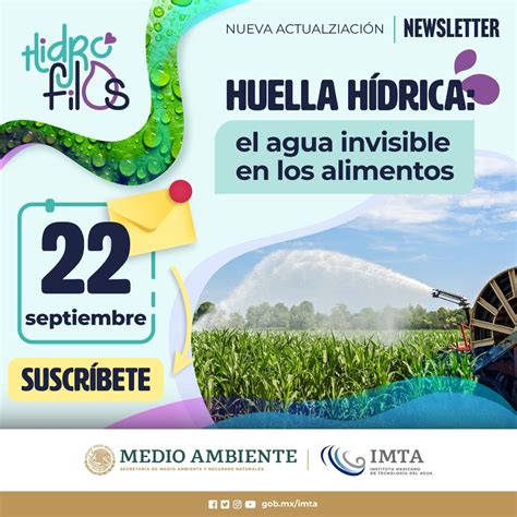 Instituto Mexicano De Tecnología De Agua En Linkedin Hidrófilos