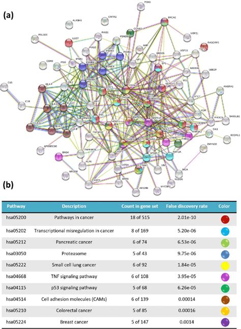 The String Ppi Network Based On The Kegg Pathways 21 23 A The