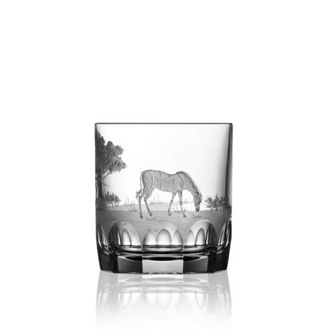 Varga Art Crystal Safari Zebra Double Old Fashioned The Pink Daisy