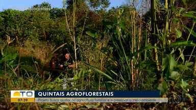 Bom Dia Tocantins Projeto De Quintais Florestais Ajuda A Agricultura