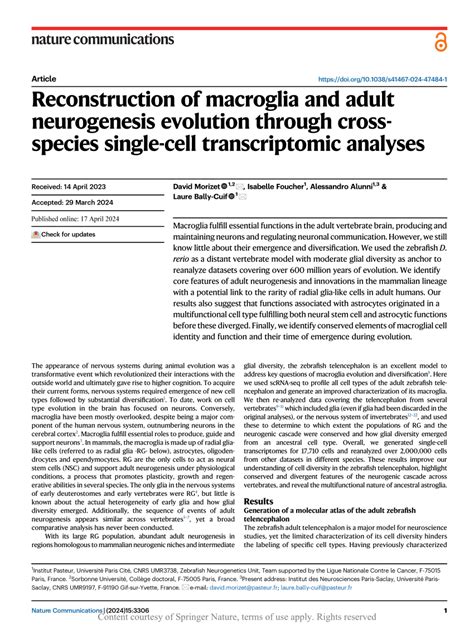 Pdf Reconstruction Of Macroglia And Adult Neurogenesis Evolution