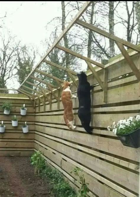 30 Diy Catio Ideas That Are Totally Pawsome Cat Patio Cat Fence