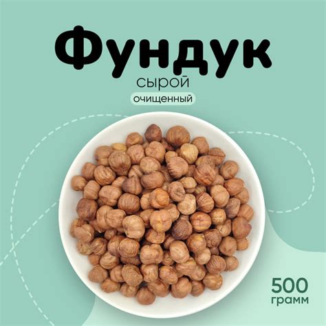 Фундук сырой очищенный 500г купить на OZON по низкой цене (1633077940)
