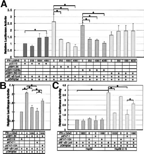 Ifn ␥ Inhibits Nf ␬ B Activation Induced By Hbv Which Depends On Download Scientific Diagram