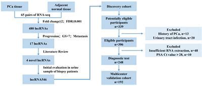 Frontiers Evaluation And Multi Institutional Validation Of A Novel