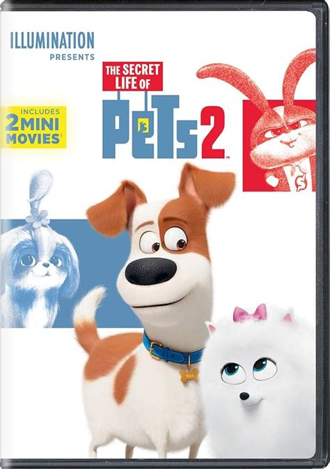 Secret Life Of Pets 2 Dvddigital Amazonca Secret Life Of Pets 2