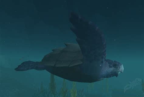 Elder Sea Turtle NPC World Of Warcraft