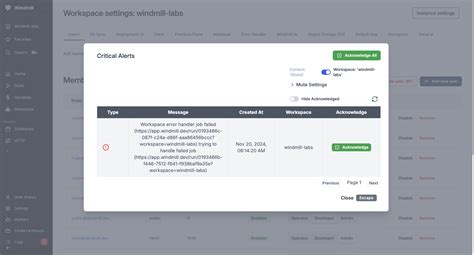 Critical alerts | Windmill