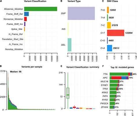 Frontiers Correlations Between Tumor Mutation Burden And Immunocyte