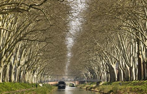 Moins de voitures et plus de verdure pour le canal du Midi à Toulouse