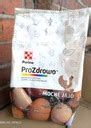 ProZdrowo MOCNE JAJO 2kg Purina Witaminy Na Skorupki Dla Kur Niosek