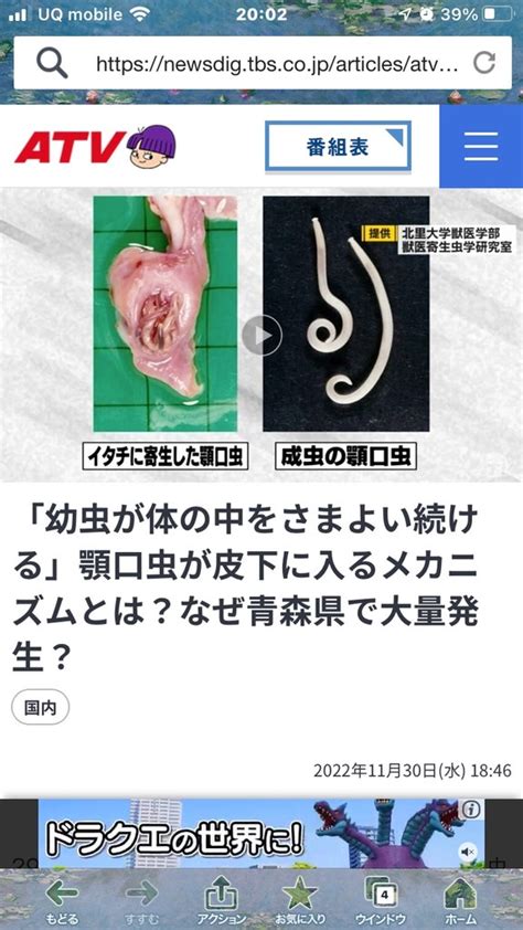 🐟 顎口虫は皮下に入るそうですよ 😱 恐ろしすぎるわ。 わたしのまいにち