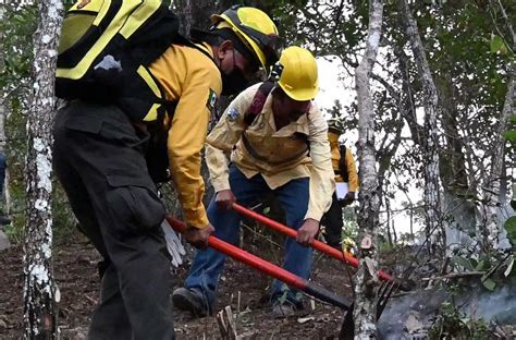 Combatientes De Incendios Forestales Héroes De Los Bosques De Chiapas Semahn Artículoseismx