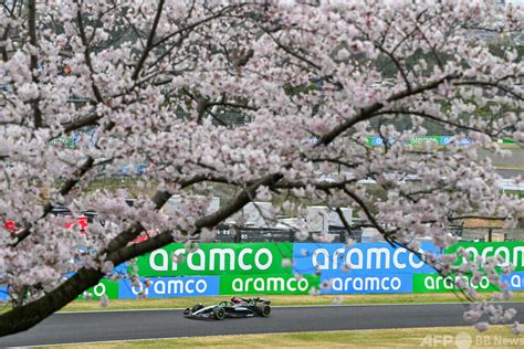 F1 Japanese Grand Prix opens among cherry blossoms 写真10枚 国際ニュースAFPBB News