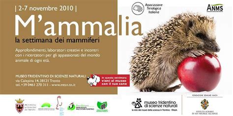 Mammalia La Settimana Dei Mammiferi Fondazione Grosseto Cultura