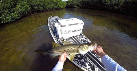 How To Catch Snook And Redfish In The Winter Paddle Fishing Special