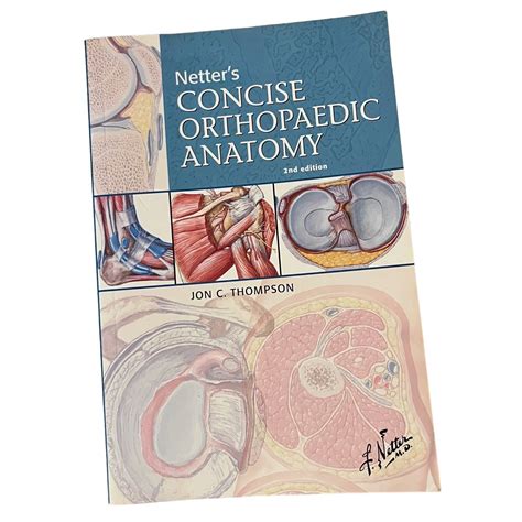 Netter S Concise Orthopaedic Anatomy 2nd Edition By Jon C Thompson