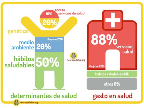 Entre Pócimas Los Determinantes De La Salud