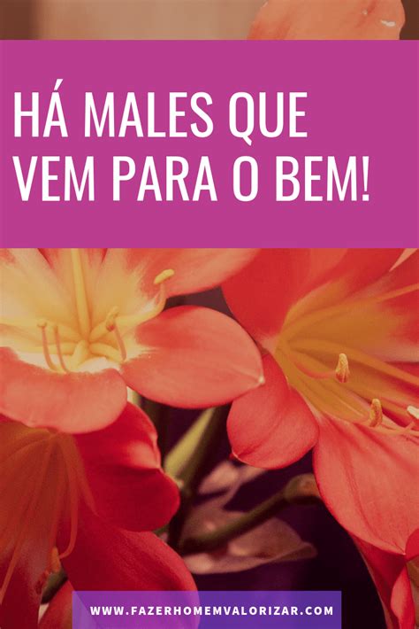 Há males que vem para o bem Fazer Homem Valorizar