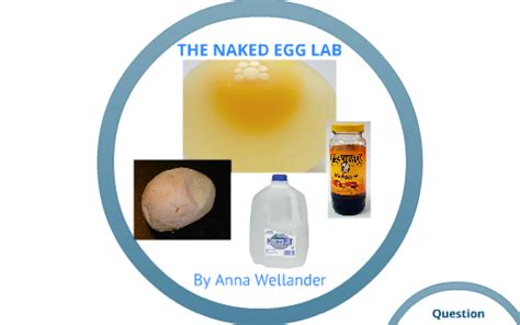 NAKED EGG LAB By Anna Wellander On Prezi