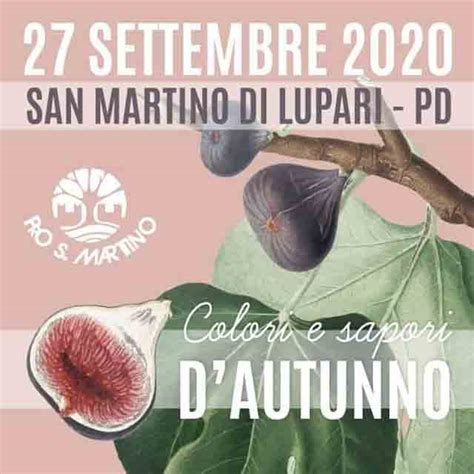 Colori E Sapori D Autunno San Martino Di Lupari Eventi News Veneto