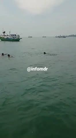 Info Madura Sampang Berenang Sama Ikan Paus Tul Tul Youtube