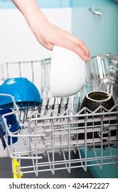 female hand loading dished empty  stock photo  shutterstock