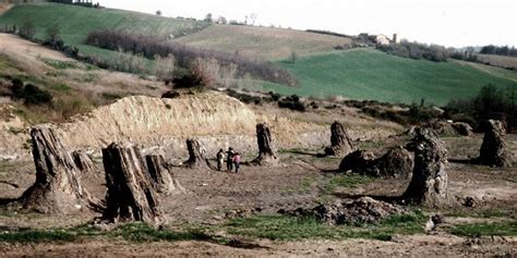 Foresta Fossile Di Dunarobba Come Arrivare Visite E Orari The Wom