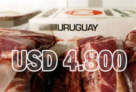 Carne Uruguaya Alcanza R Cord En Precio De Exportaci N Usd Ton