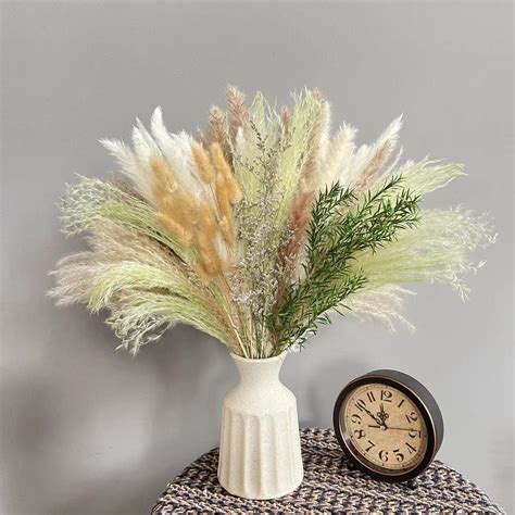 N T Neting Pcs Natural Pampas Grass Green Pompas Brown And