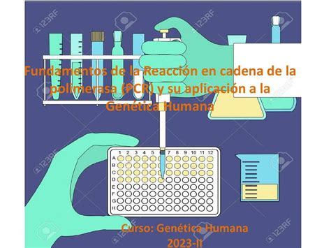 Presentación Fundamentos de la PCR su aplicación e BRAYAN HERNAN