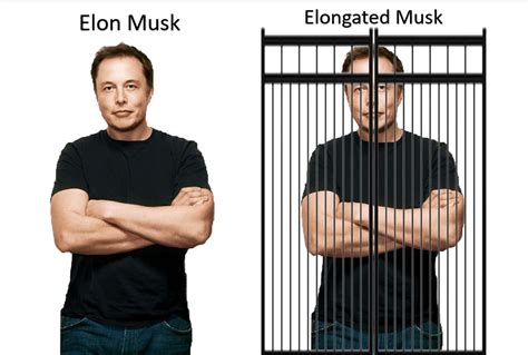 Musk Meme part 2 : r/memes