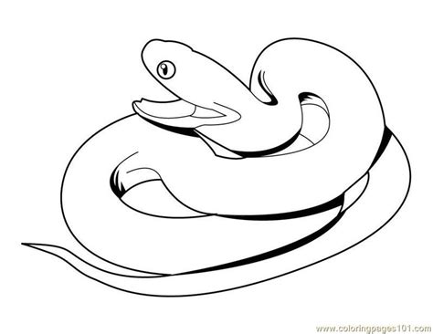 Cute Snake Coloring Pages Clip Art Library Hot Sex Picture