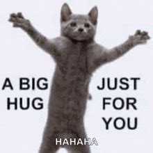 GIFs de Hug | Tenor