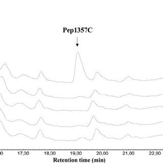 Chromatographic separation profiles of S. thermophilus culture ...