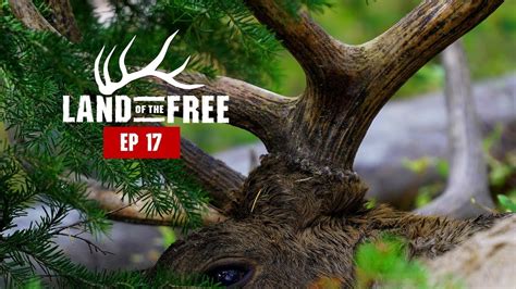 Bull Down In Montana Ep Land Of The Free Youtube