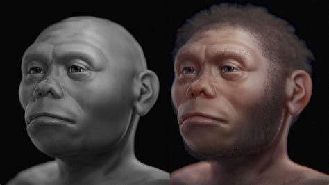 See The Face Of The Hobbit An Extinct Human Relative Primenewsprint