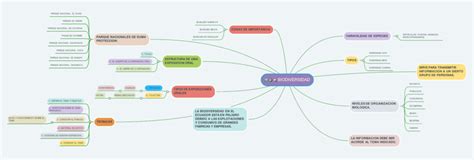 Mapas Mentales De La Biodiversidad 【descargar】