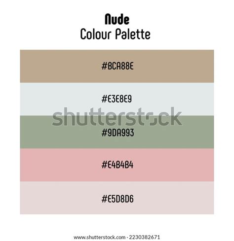 Wheels nude top view 스톡 벡터 이미지 및 벡터 아트 Shutterstock