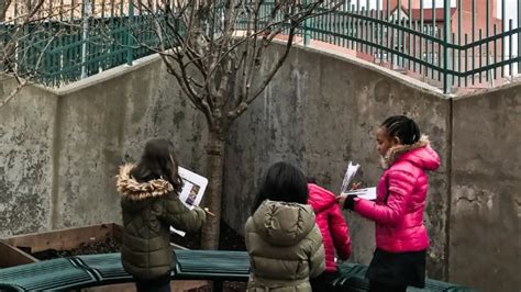 Ciencia Ciudadana Celebrando Las Aves Urbanas Con Equidad Diversidad