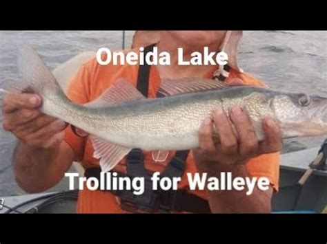 How To Troll For Walleye Oneida Lake Youtube