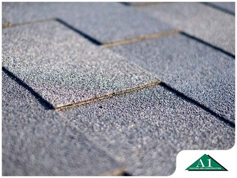 Common Myths About Asphalt Shingle Roofs Debunked