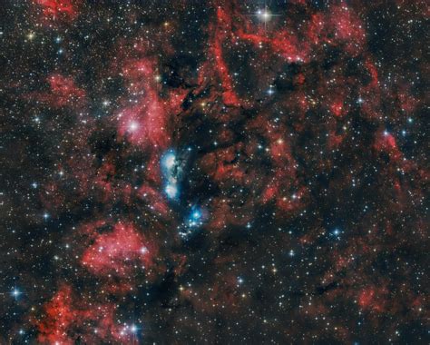 Ngc 6914 With Its Ionized Hydrogen Rastrophotography