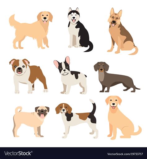 Flat style dogs collection cartoon dogs breeds Vector Image