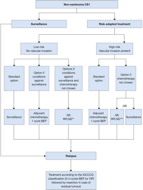 Testicular Cancer Disease Management Uroweb