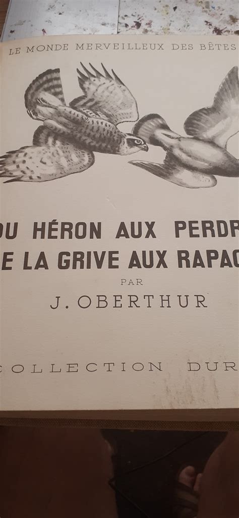 Du H Ron Aux Perdrix De La Grive Aux Rapaces Tomes Animaux De V Nerie