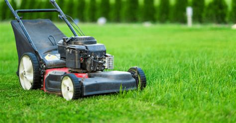 Technically Speaking To Bag Or Not To Bag Lawn Clippings The Edge