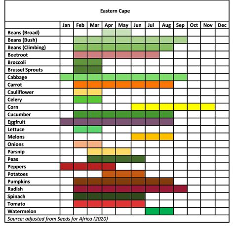 Flower Planting Calendar South Africa Jessica Thomson