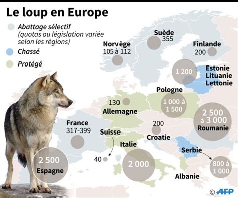 Le Loup à La Reconquête De Leurope Geofr