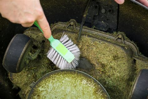 Radantrieb beim Rasenmäher reparieren Das sollten Sie wissen